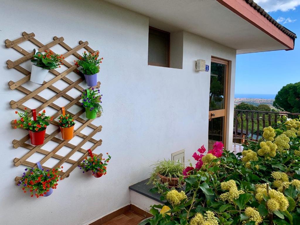 B&B Casa Di Antonio_Etna Vacanze Trecastagni Exteriör bild