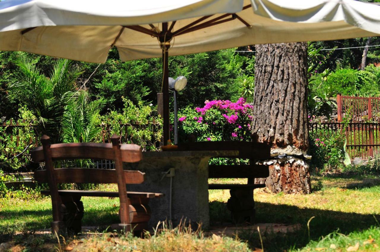 B&B Casa Di Antonio_Etna Vacanze Trecastagni Exteriör bild