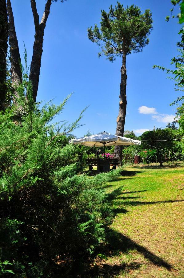 B&B Casa Di Antonio_Etna Vacanze Trecastagni Exteriör bild