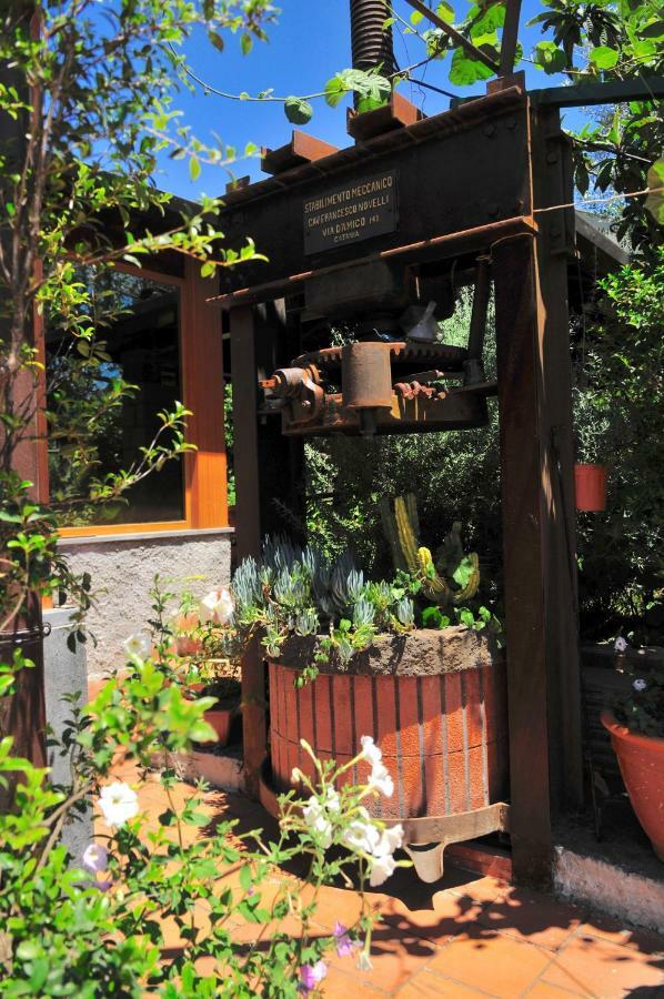 B&B Casa Di Antonio_Etna Vacanze Trecastagni Exteriör bild