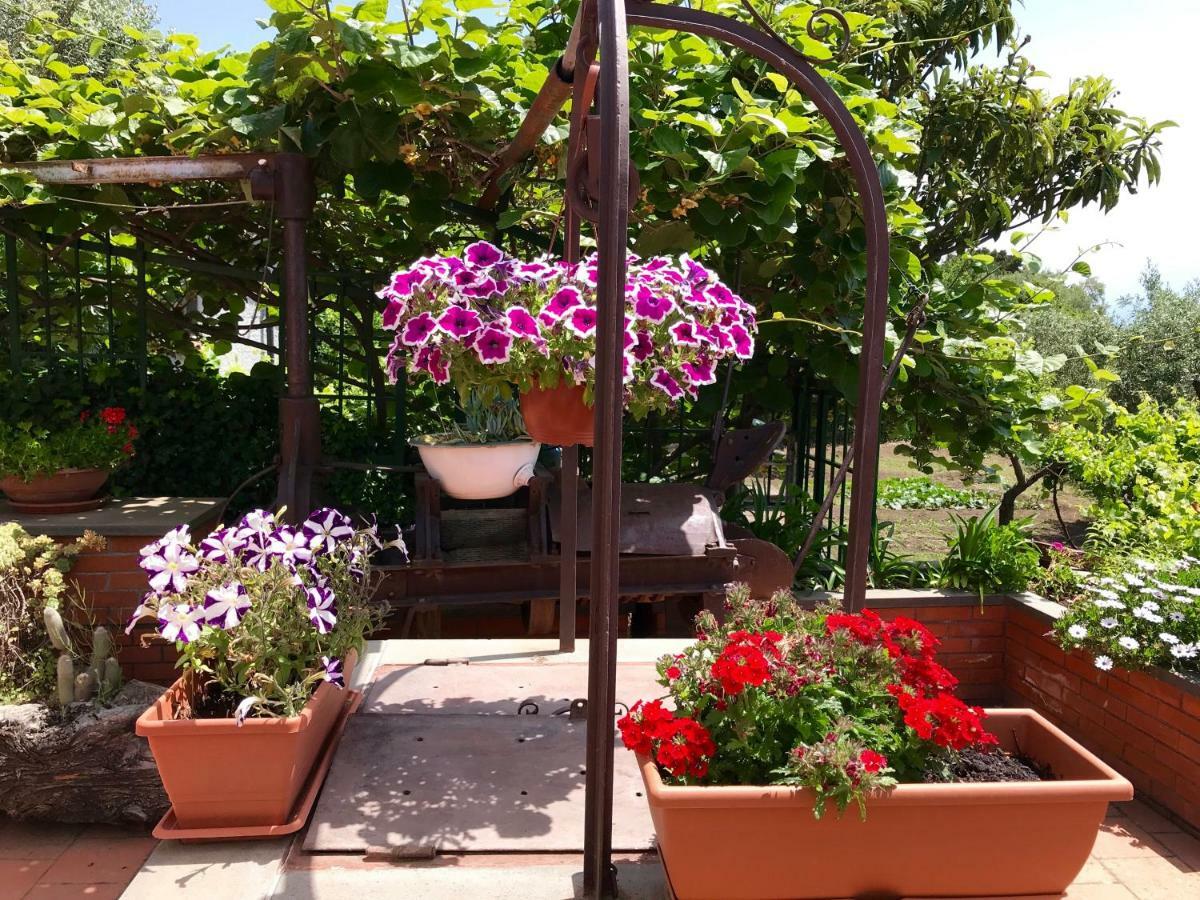 B&B Casa Di Antonio_Etna Vacanze Trecastagni Exteriör bild
