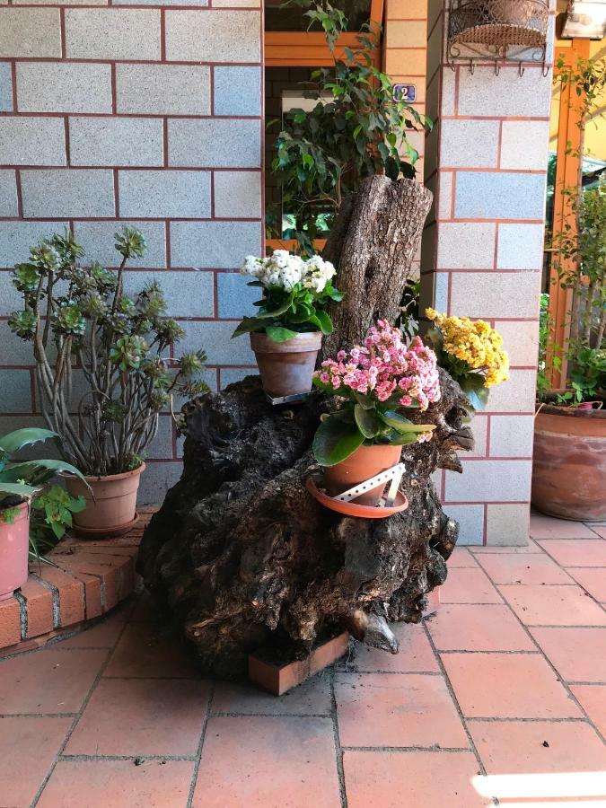 B&B Casa Di Antonio_Etna Vacanze Trecastagni Exteriör bild